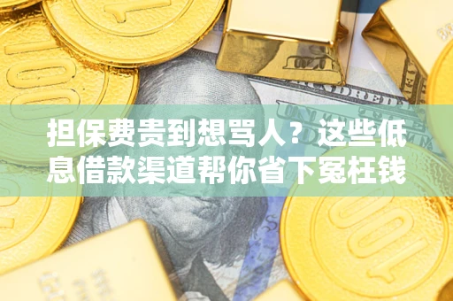 济南担保费贵到想骂人？这些低息借款渠道帮你省下冤枉钱