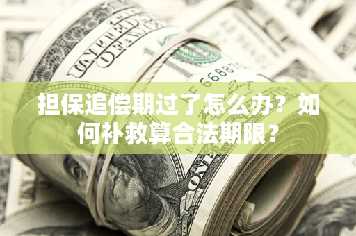济南担保追偿期过了怎么办？如何补救算合法期限？