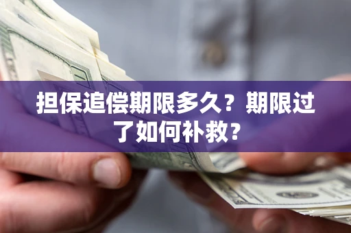 济南担保追偿期限多久？期限过了如何补救？