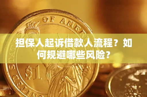 济南担保人起诉借款人流程？如何规避哪些风险？
