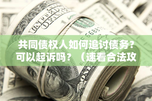 济南共同债权人如何追讨债务？可以起诉吗？（速看合法攻略）
